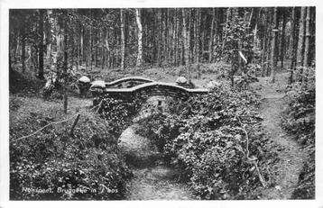 (301-249-009) Nunspeet Bruggetje in t Bos beschikbaar voor biedingen