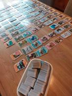 GEZOCHT + AANGEBODEN: AH Dierenplaatjes Freek Vonk, Albert Heijn, Ophalen