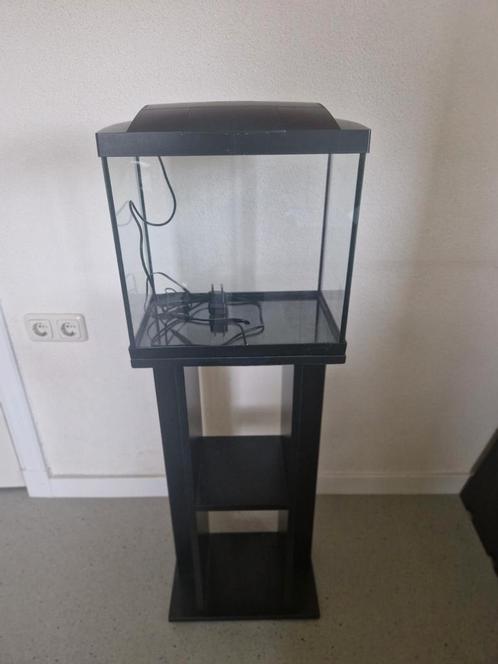 Superfish start 30 (compleet met accessoires), Dieren en Toebehoren, Vissen | Aquaria en Toebehoren, Zo goed als nieuw, Leeg aquarium