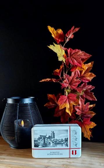 Blik Dordtse schapekopjes beschikbaar voor biedingen