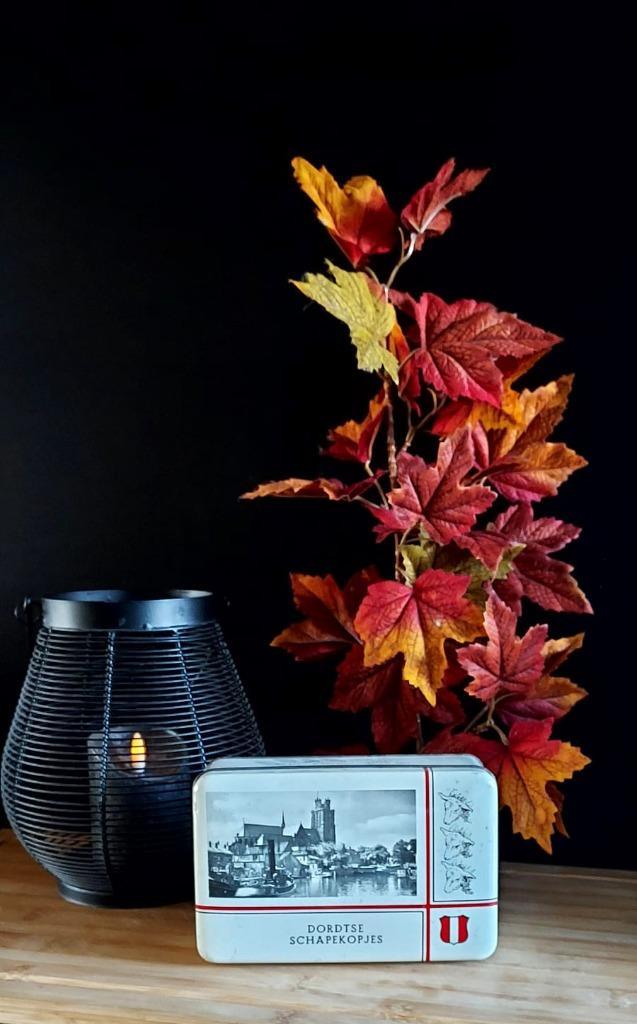 Blik Dordtse schapekopjes, Verzamelen, Blikken, Overige, Ophalen of Verzenden