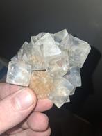 Heldere Fluoriet Kubussen op matrix Nikolaevsky mine Rusland, Verzamelen, Mineralen en Fossielen, Ophalen of Verzenden
