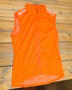 Nieuwe Dames Wielren Windstopper Maat M, Ophalen of Verzenden, Nieuw, Maat 38/40 (M), Oranje