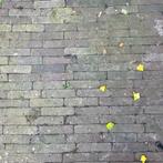 Oud gebakken waaltjes, Tuin en Terras, Tegels en Klinkers, Ophalen, Beton, Klinkers