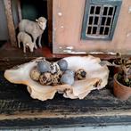 Supermooie doopvontschelp, Ophalen of Verzenden