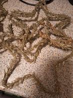 Riviera maison gouden sterren 8 kleinere en 4 grote, Ophalen