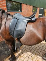 Fryso legacy 18 inch, Dieren en Toebehoren, Ophalen, Gebruikt, Dressuur