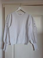 Fabienne Chapot trui maat S, Ophalen of Verzenden