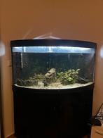 Juwel hoek aquarium 350l, Dieren en Toebehoren, Vissen | Aquaria en Toebehoren, Ophalen, Gebruikt, Leeg aquarium