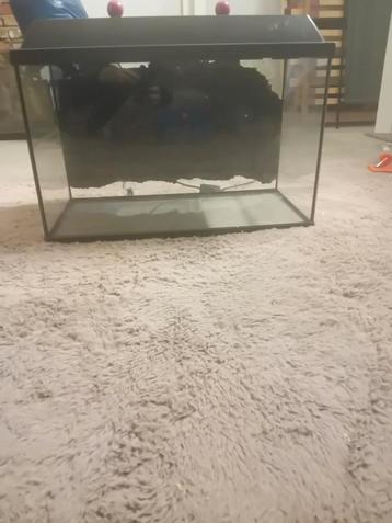 Visse aquarium  beschikbaar voor biedingen