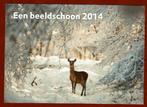 Dieren - Herten (V.) - Reegeit in de sneeuw - Ong. (Natuurm), Verzamelen, Ansichtkaarten | Dieren, Overige soorten, Ongelopen