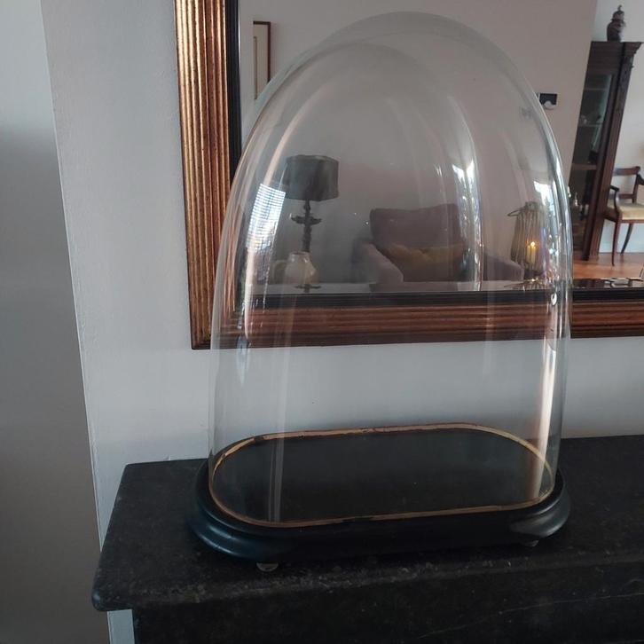 Antieke Glazen Stolp met Houten Voet - 40x53 cm, Huis en Inrichting, Woonaccessoires | Stolpen, Gebruikt, Ophalen of Verzenden