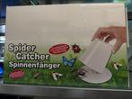 Partij spinnenvangers (4 displays = 48 stuks), Ophalen of Verzenden, Nieuw