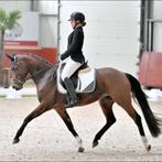 Te koop! 7 jarige welsh sportpony, Dieren en Toebehoren, B, Springpony, 7 tot 10 jaar, D pony (1.37m tot 1.48m)