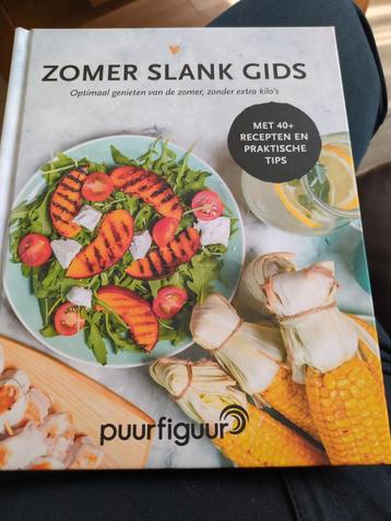 Puur figuur zomerslank gids beschikbaar voor biedingen