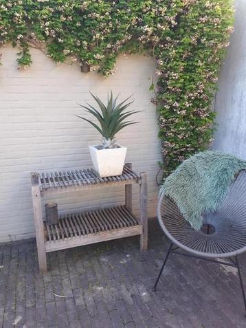 Buitenkeuken kastje tafeltje plantentafeltje beschikbaar voor biedingen