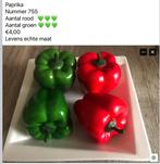 Div decoratie nep olijf paprika knoflook tomaat radijs peper, Ophalen, Nieuw