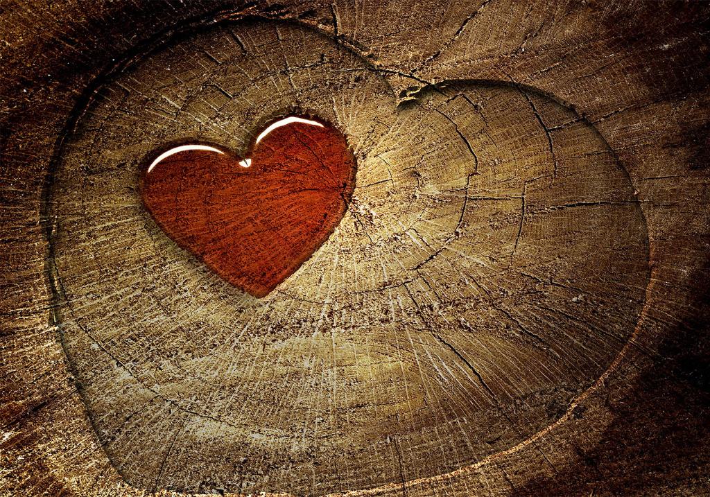 110 Hartjes Vlies Fotobehang 350x250cm BxH in 3 maten Nieuw, Ophalen of Verzenden, Nieuw