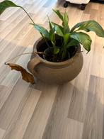 Bloempot, Rond, Ophalen of Verzenden, Aardewerk, Minder dan 40 cm