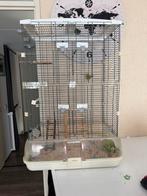 Vision voglekooi large, Dieren en Toebehoren, Vogels | Hokken en Kooien, Ophalen, Gebruikt, Metaal, Vogelkooi