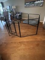 Puppyren 80 cm hoog x 8, Ophalen, Zo goed als nieuw