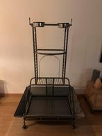 Speelstandaard vogel, Dieren en Toebehoren, Vogels | Parkieten en Papegaaien, Meerdere dieren, Papegaai