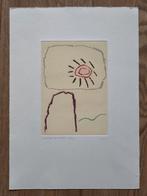 Harry Gerritz zeefdruk (1989 - 13/35), Antiek en Kunst, Kunst | Litho's en Zeefdrukken, Ophalen