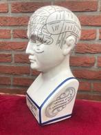porseleinen studiemodel, frenologie, Antiek en Kunst, Ophalen of Verzenden