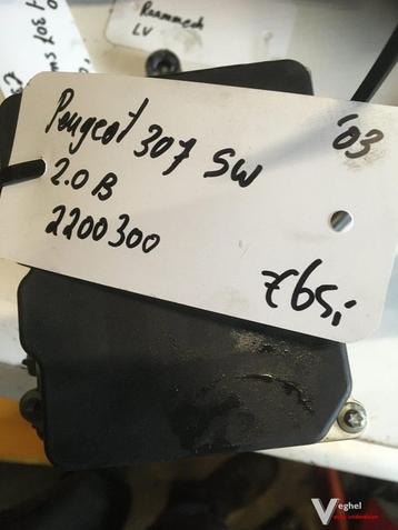 Peugeot 307 SW 2.0 benzine 2003  ABS pomp  beschikbaar voor biedingen