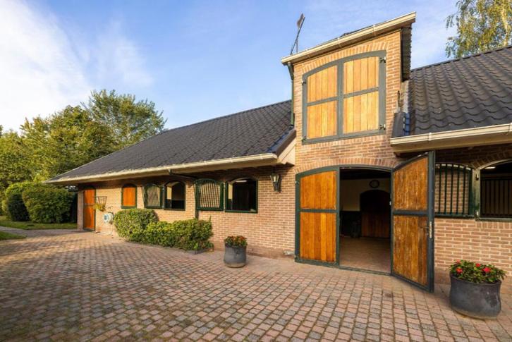 Vakantie- en/of trainingsplekken beschikbaar! (Overijssel), Dieren en Toebehoren, Stalling en Weidegang, Stalling, Weidegang, 2 of 3 paarden of pony's