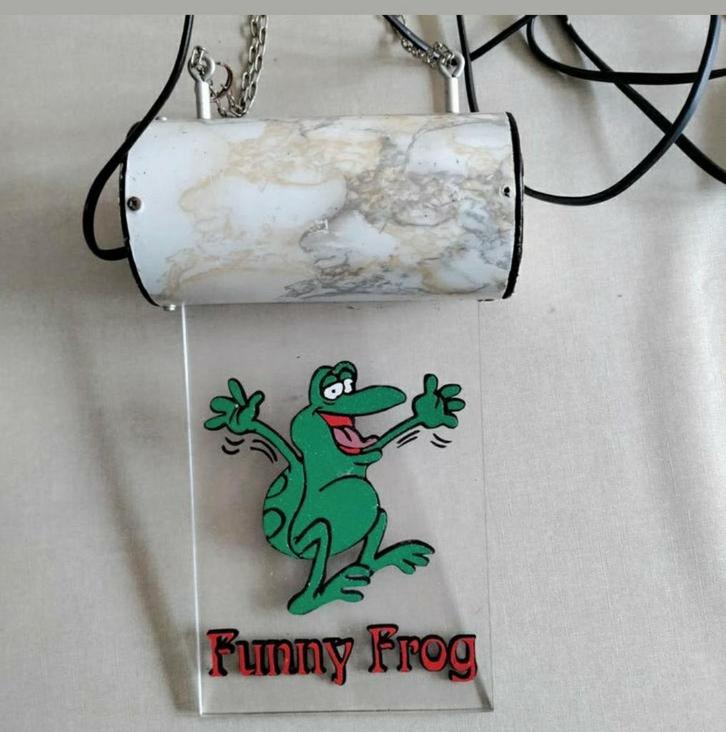 LAMPJE,ophangen,Plexiglas,snoer,schakelaar,Funny Frog, Huis en Inrichting, Lampen | Overige, Zo goed als nieuw, Ophalen of Verzenden