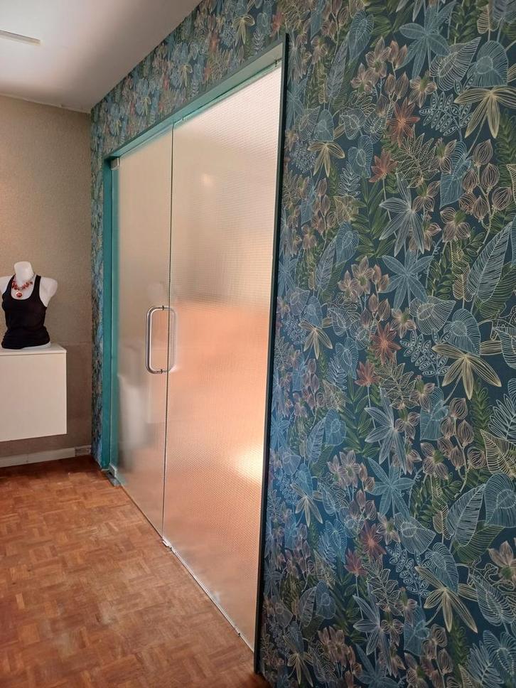 Glazen Binnendeur - Stijlvol en Licht (tot 29-10), Doe-het-zelf en Verbouw, Glas en Ramen, Ophalen