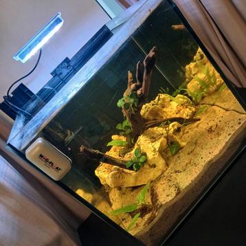 30L aquarium beschikbaar voor biedingen