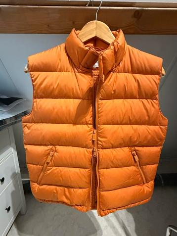 Aspesi bodywarmer in mooie warme kleur maat L 38 40 beschikbaar voor biedingen