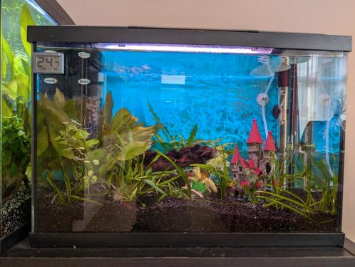 Superfish Start 70 Tropical Kit Zwart, Dieren en Toebehoren, Vissen | Aquaria en Toebehoren, Zo goed als nieuw, Ophalen