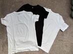 3 basics shirts HEMA maat 158/164, Kinderen en Baby's, Kinderkleding | Maat 158, Gebruikt, Ophalen of Verzenden, Shirt of Longsleeve