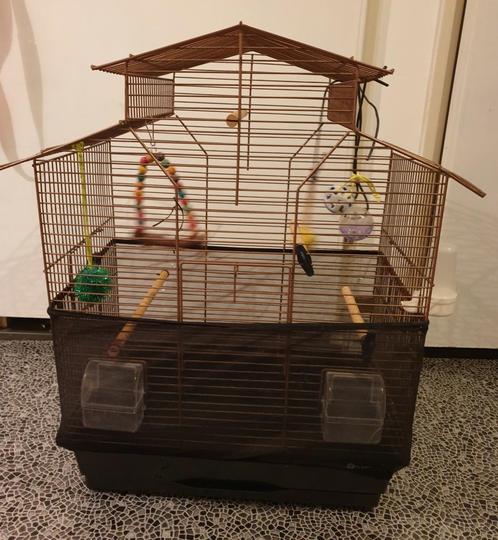 Flamingo vogelkooi ( goudbruine kleur), Dieren en Toebehoren, Vogels | Hokken en Kooien, Zo goed als nieuw, Vogelkooi, Metaal