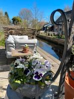 🍀Heerlijke BED en BREAKFAST / vakantie huisje Friesland🍀, Vakantie, Bed & Breakfasts en Pensions, Eigenaar, Internet, Aan meer of rivier