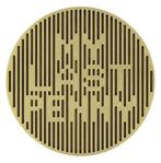 Penning VPK 2010 Martijn Sandberg : My Last Penny, Verzenden, Overige materialen, Nederland