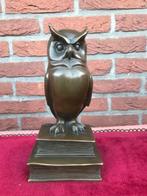 bronzen pracht beeld, DE WIJZE UIL, Antiek en Kunst, Ophalen of Verzenden