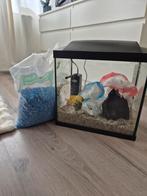 Superfish aquarium, Ophalen, Zo goed als nieuw, Leeg aquarium