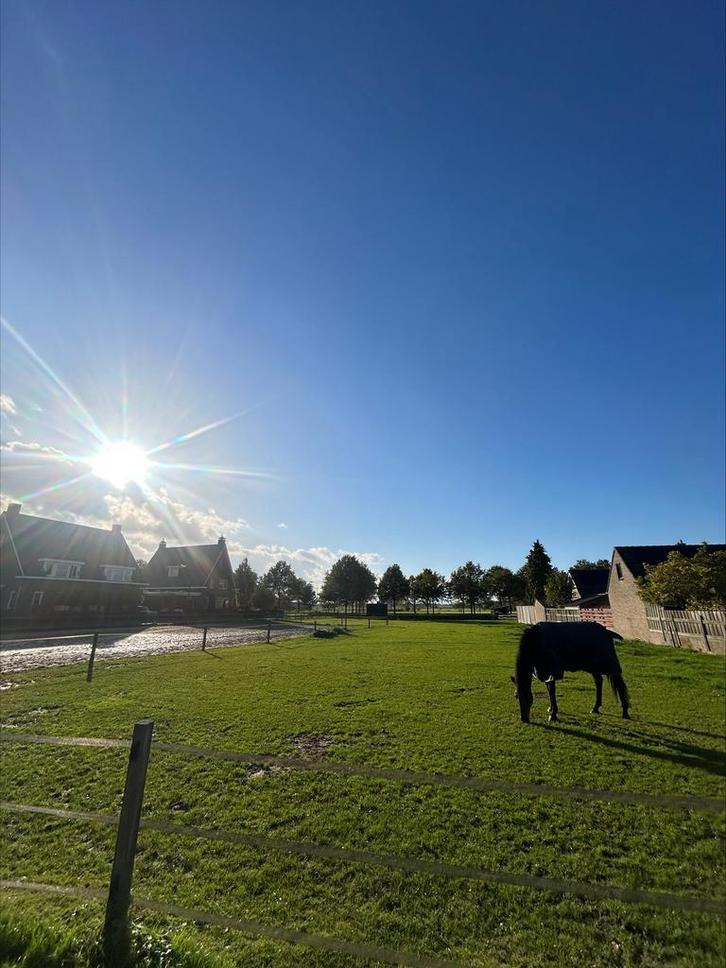 Aangeboden stalruimte met weide en rijbak, Dieren en Toebehoren, Stalling en Weidegang