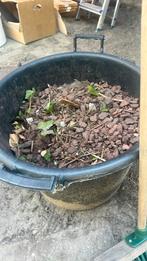 Grind rood gratis exl bakken Alleen ophalen, Tuin en Terras, Grind, Keien en Split, Ophalen of Verzenden, Overige materialen