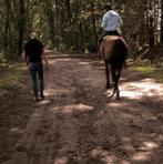 Enkele plekken beschikbaar, Dieren en Toebehoren, Stalling en Weidegang