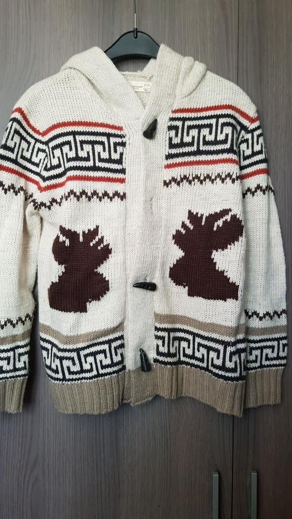 Zara vest mt 164!, Kinderen en Baby's, Kinderkleding | Maat 164, Trui of Vest, Ophalen of Verzenden, Zo goed als nieuw, Jongen