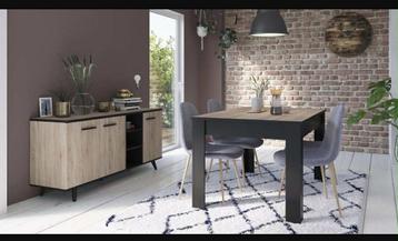 Modern Dressoir met Deuren en Planken beschikbaar voor biedingen