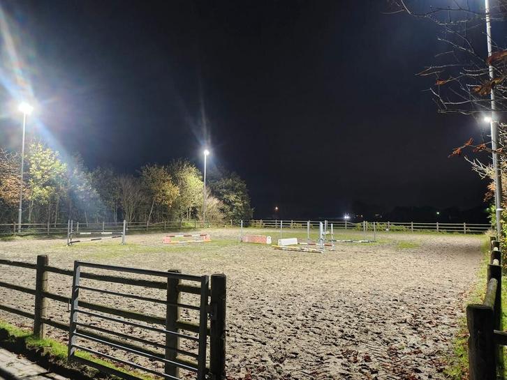 Ijsbaan verlichting profecioneel schaatsbaan, Dieren en Toebehoren, Stalling en Weidegang