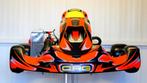 CRG KT2 Kart met Rotax Senior EVO2 Motor, Sport en Fitness, Karting, Ophalen, Zo goed als nieuw, Kart