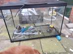 Mooie aquarium  8 maanden oud, Ophalen, Zo goed als nieuw, Leeg aquarium