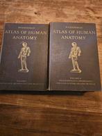 Atlas of human anatomy dl 1 én 2, Ophalen of Verzenden, Gelezen